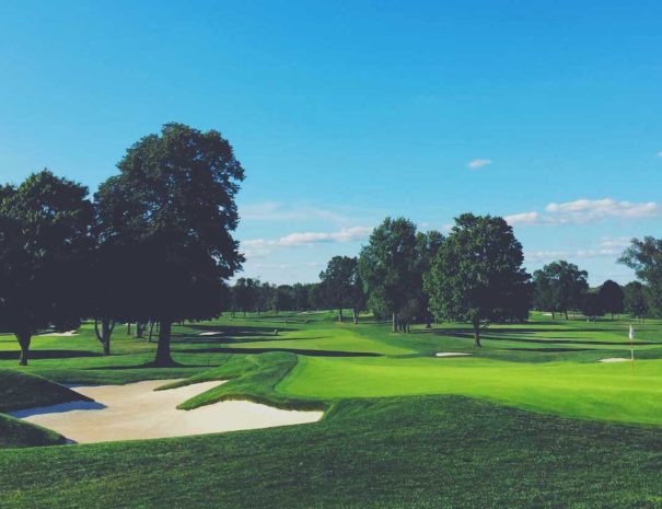 golf-wordpress-theme-11
